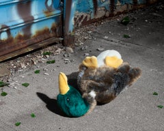 “Morbidity & Mortality: Duck” Humorous Photograph of Dog Toy in Crime Scene