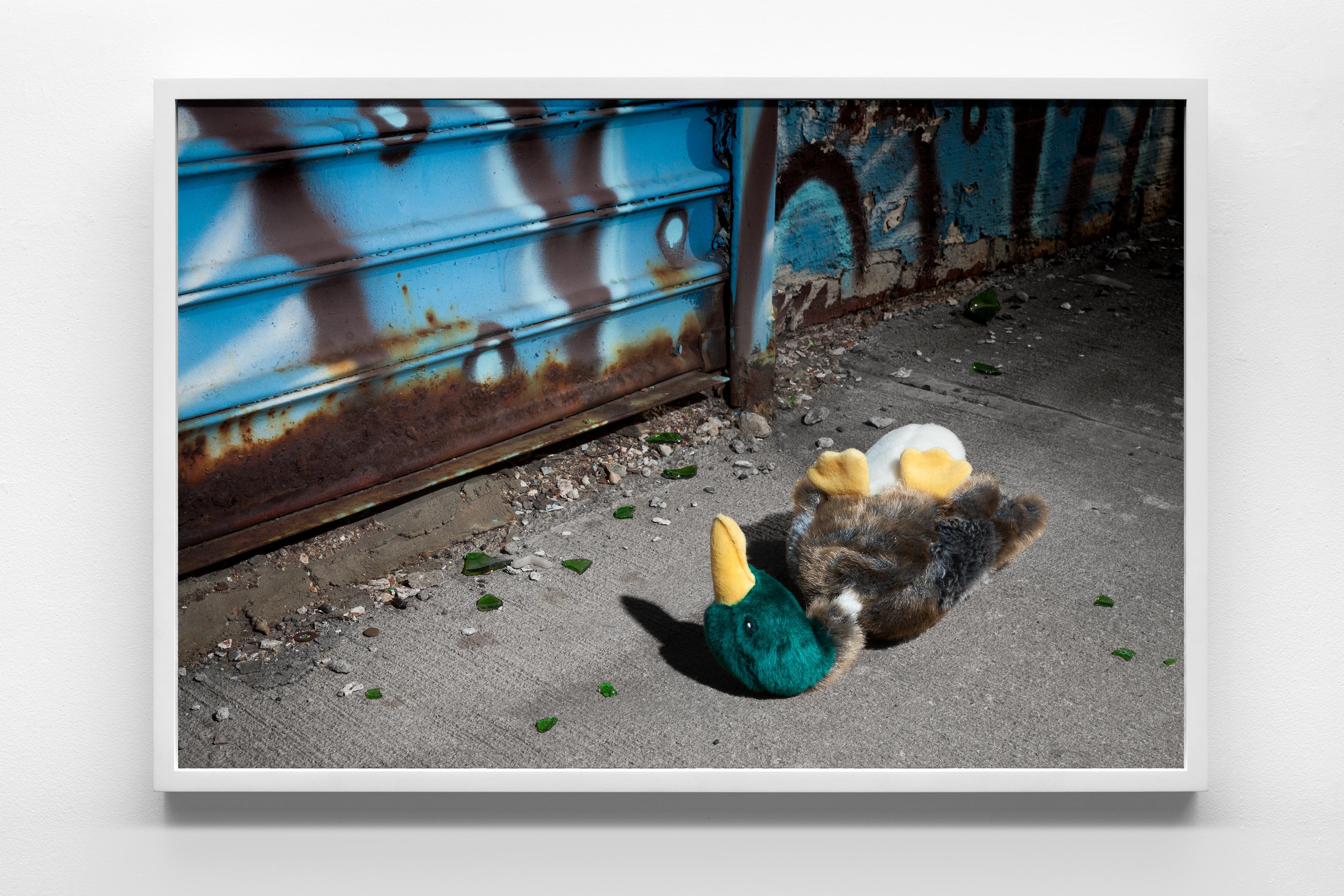 “Morbidity & Mortality: Duck” Humorous Photograph of Dog Toy in Crime Scene  For Sale 1