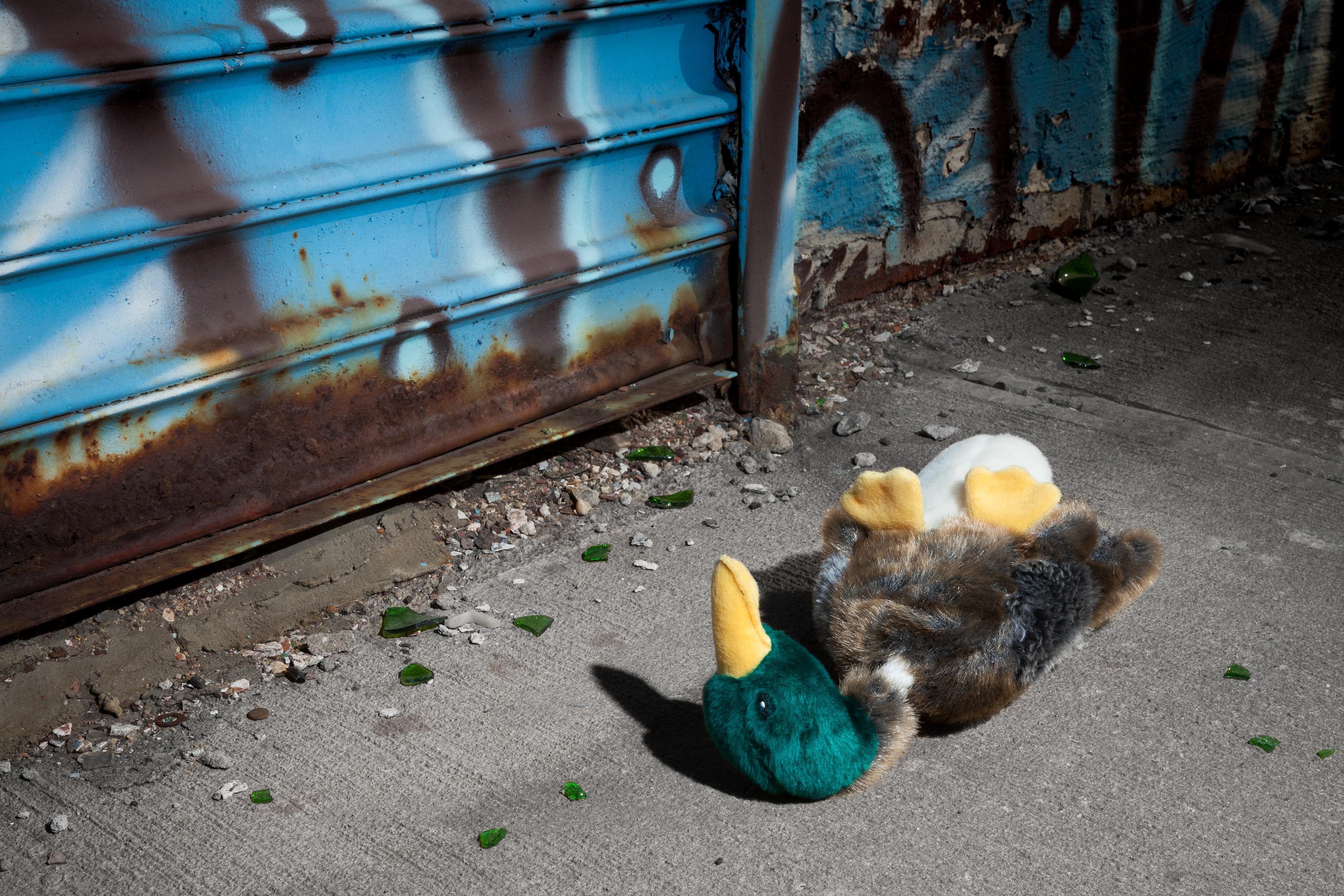 Jeanette May Color Photograph - “Morbidity & Mortality: Duck” Humorous Photograph of Dog Toy in Crime Scene 