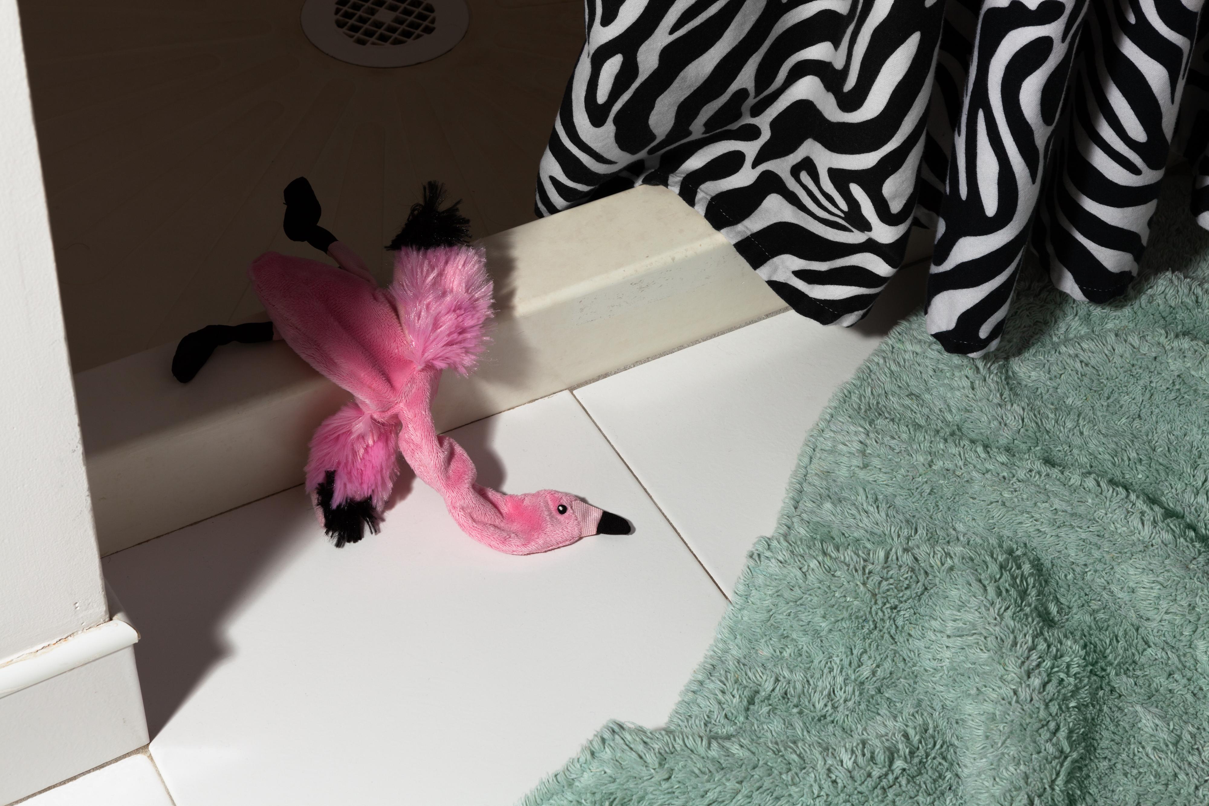 Jeanette May Color Photograph - “Morbidity & Mortality: Flamingo” Humorous Photograph of Dog Toy in Crime Scene