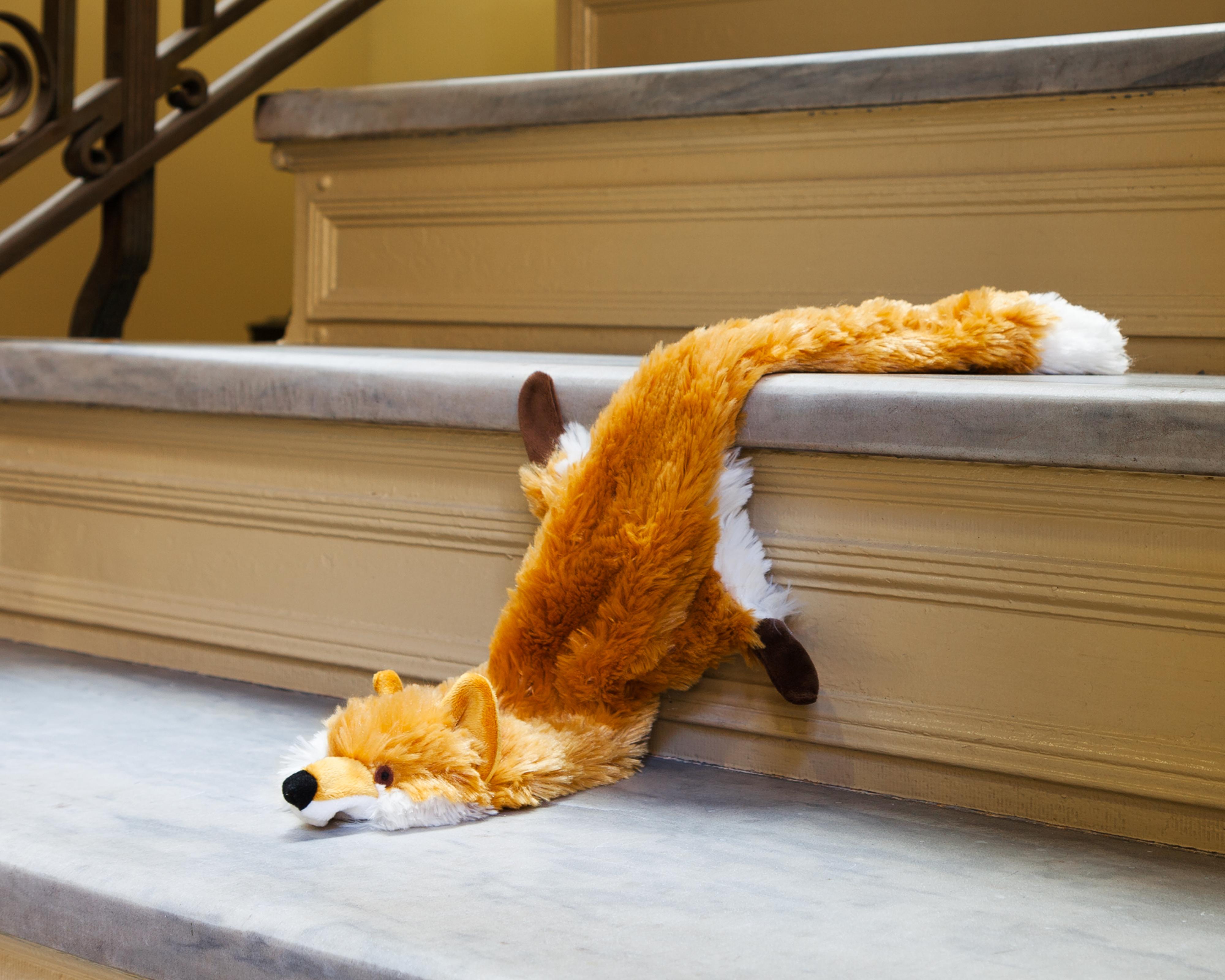 “Morbidity & Mortality: Fox” Humorous Photograph of a Dog Toy in a Crime Scene - Print by Jeanette May