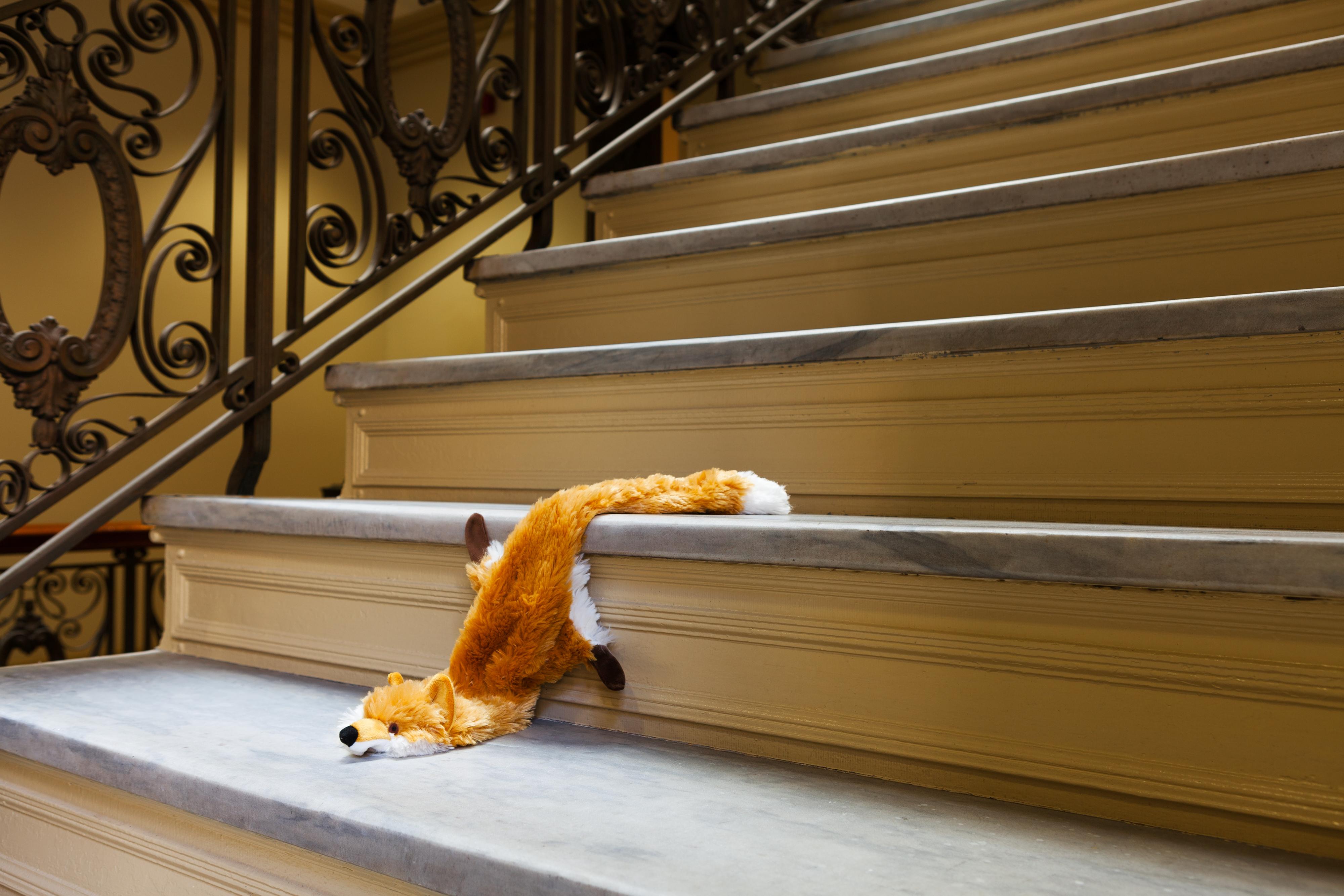 Jeanette May Animal Print - “Morbidity & Mortality: Fox” Humorous Photograph of a Dog Toy in a Crime Scene