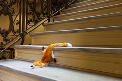 Morbidity & Mortality : Photographie humoristique de renard d'un jouet de chien dans une scène de crime