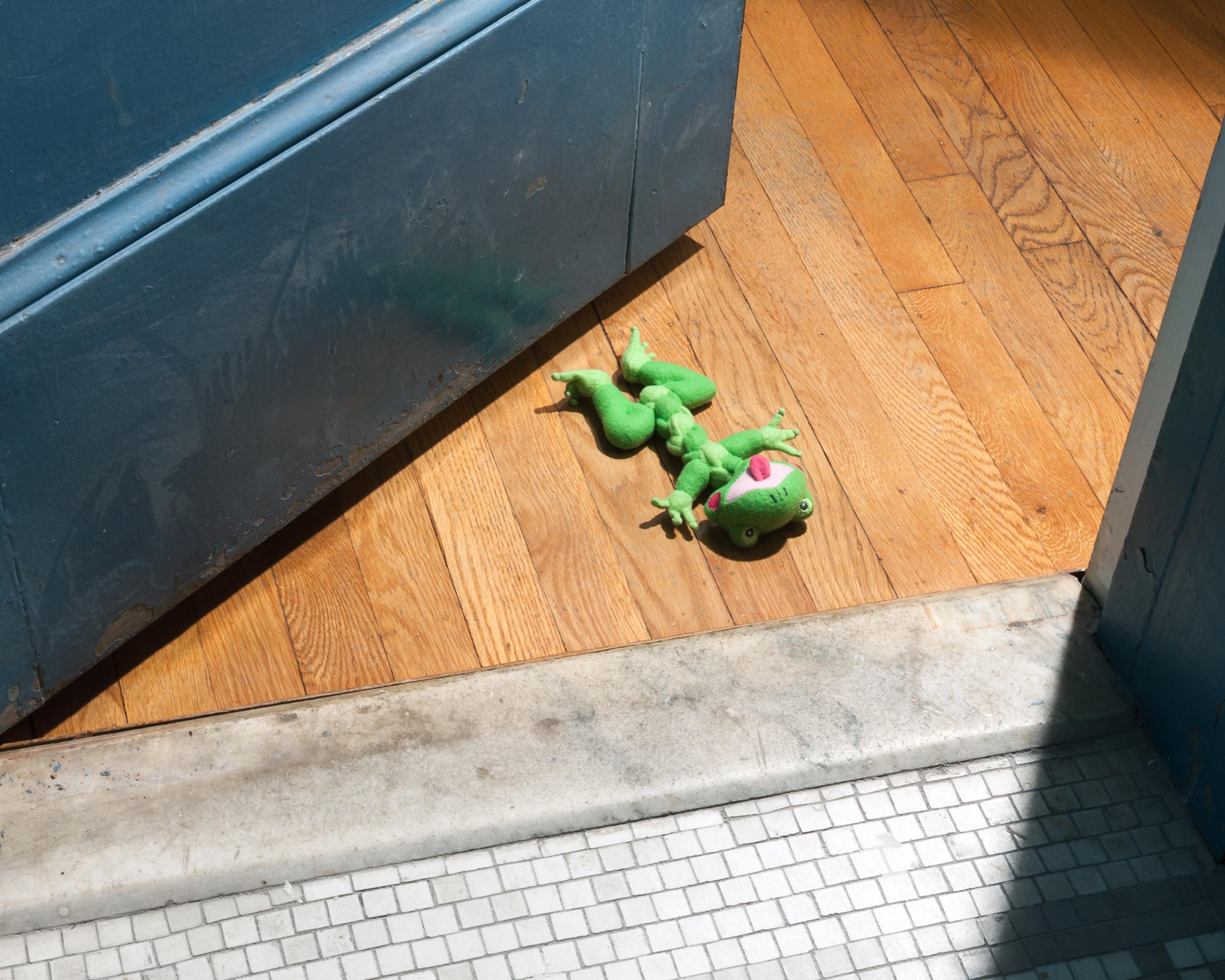 “Morbidity & Mortality: Frog” Humorous Photograph of a Dog Toy in Crime Scene - Print by Jeanette May