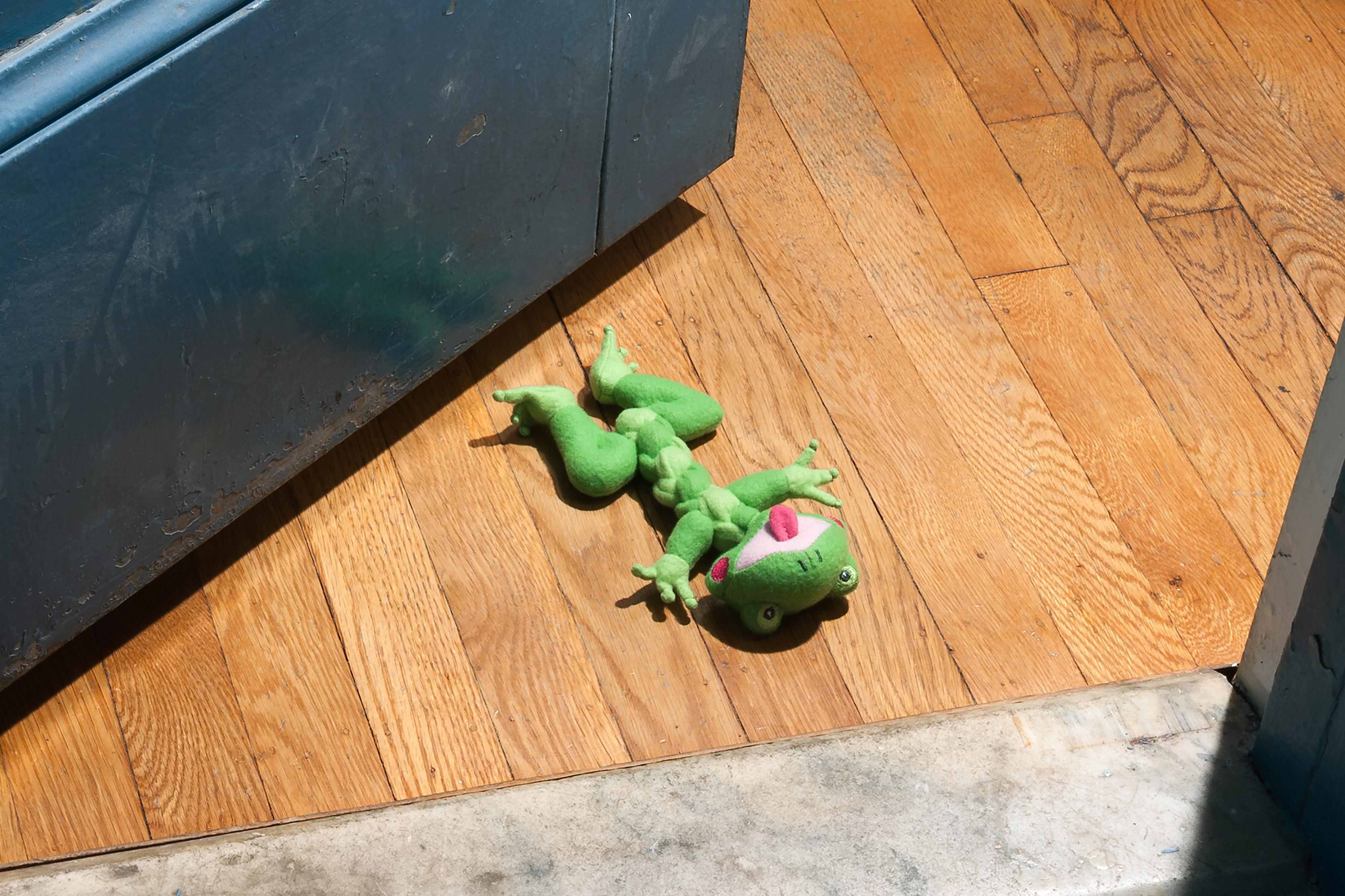 “Morbidity & Mortality: Frog” Humorous Photograph of a Dog Toy in Crime Scene - Contemporary Print by Jeanette May
