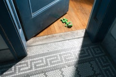 “Morbidity & Mortality: Frog” Humorous Photograph of a Dog Toy in Crime Scene