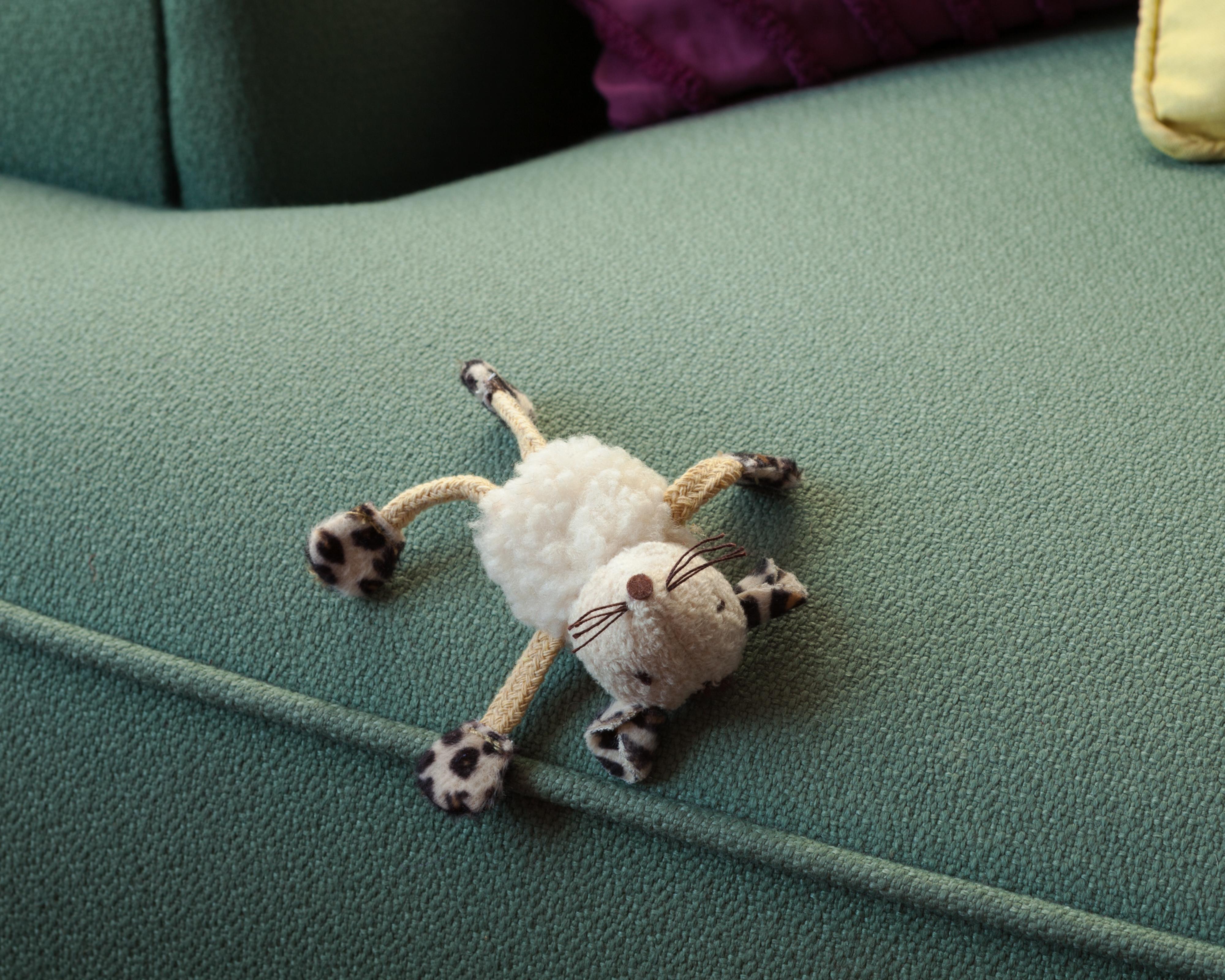 Morbidity & Mortality: Maus Humorvolle Fotografie eines Katzenspielzeugs in Krimsszene – Photograph von Jeanette May