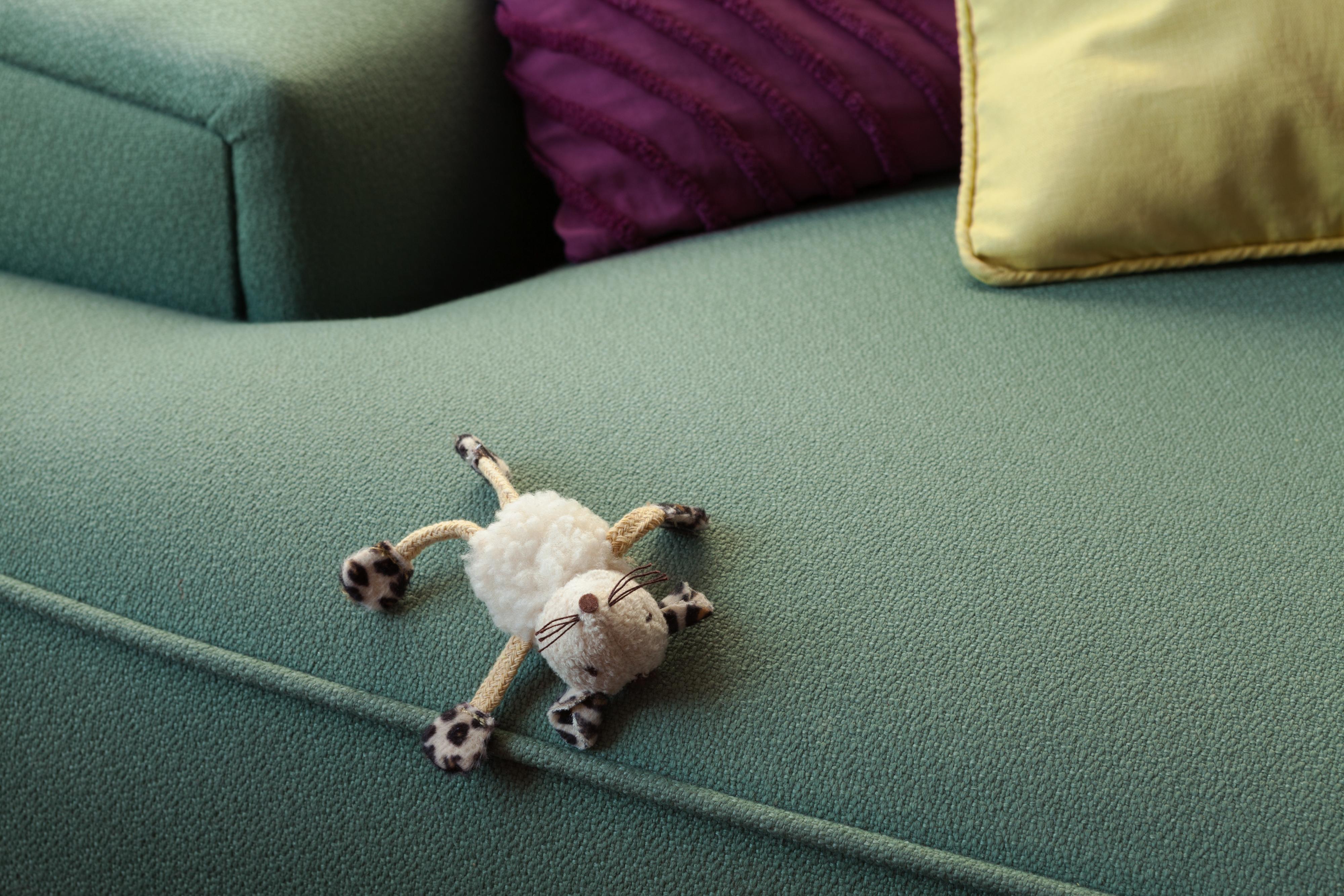 Jeanette May Color Photograph – Morbidity & Mortality: Maus Humorvolle Fotografie eines Katzenspielzeugs in Krimsszene