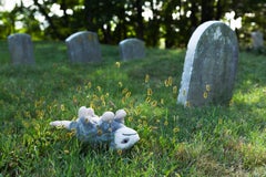 “Morbidity & Mortality: Opossum” Humorous Photograph of Dog Toy in Crime Scene 
