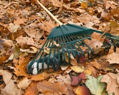 “Morbidity & Mortality: Otter” Humorous Photograph of Dog Toy in Crime Scene