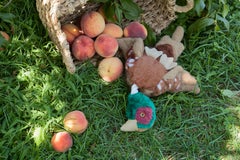 “Morbidity & Mortality: Pheasant” Humorous Photograph of Dog Toy in Crime Scene