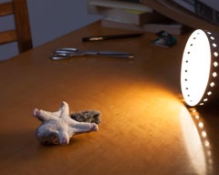 “Morbidity & Mortality: Squirrel” Humorous Photograph of Cat Toy in Crime Scene