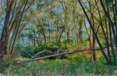 Fallen Tree - 21st Century Realistic Figurative landcape Painting of a Forest
