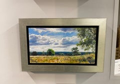 Zilvense Heath - 21st Century Realistic Figurative landcape Painting of a Forest