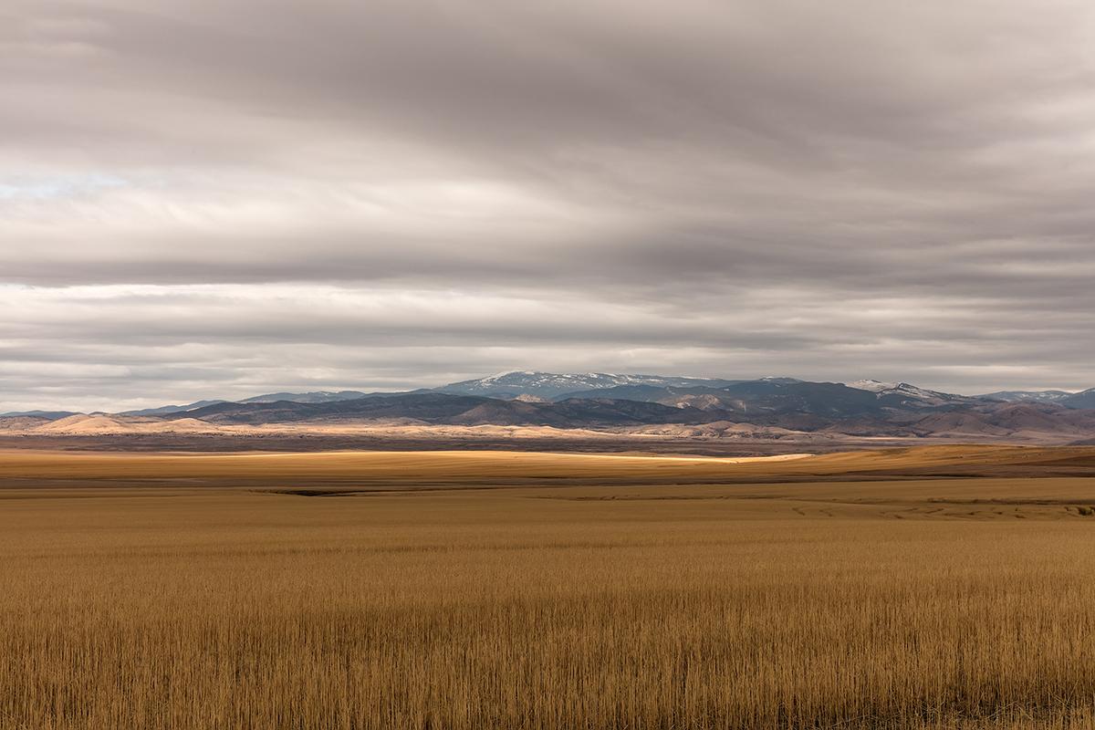 Amber Waves of Grain, Montana by Jeanine Michna-Bales is a sublime landscape photograph depicting a vast field of golden grass with a mountain range on the horizon.

Image size: 12 x 18 in.
Paper size: 17 x 22 in.
Archival Pigment Print
Edition of