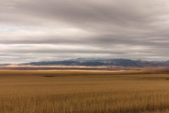 Waves of Grain, Montana par Jeanine Michna-Bales, 2019