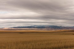 Amber Waves of Grain, Montana by Jeanine Michna-Bales, 2019