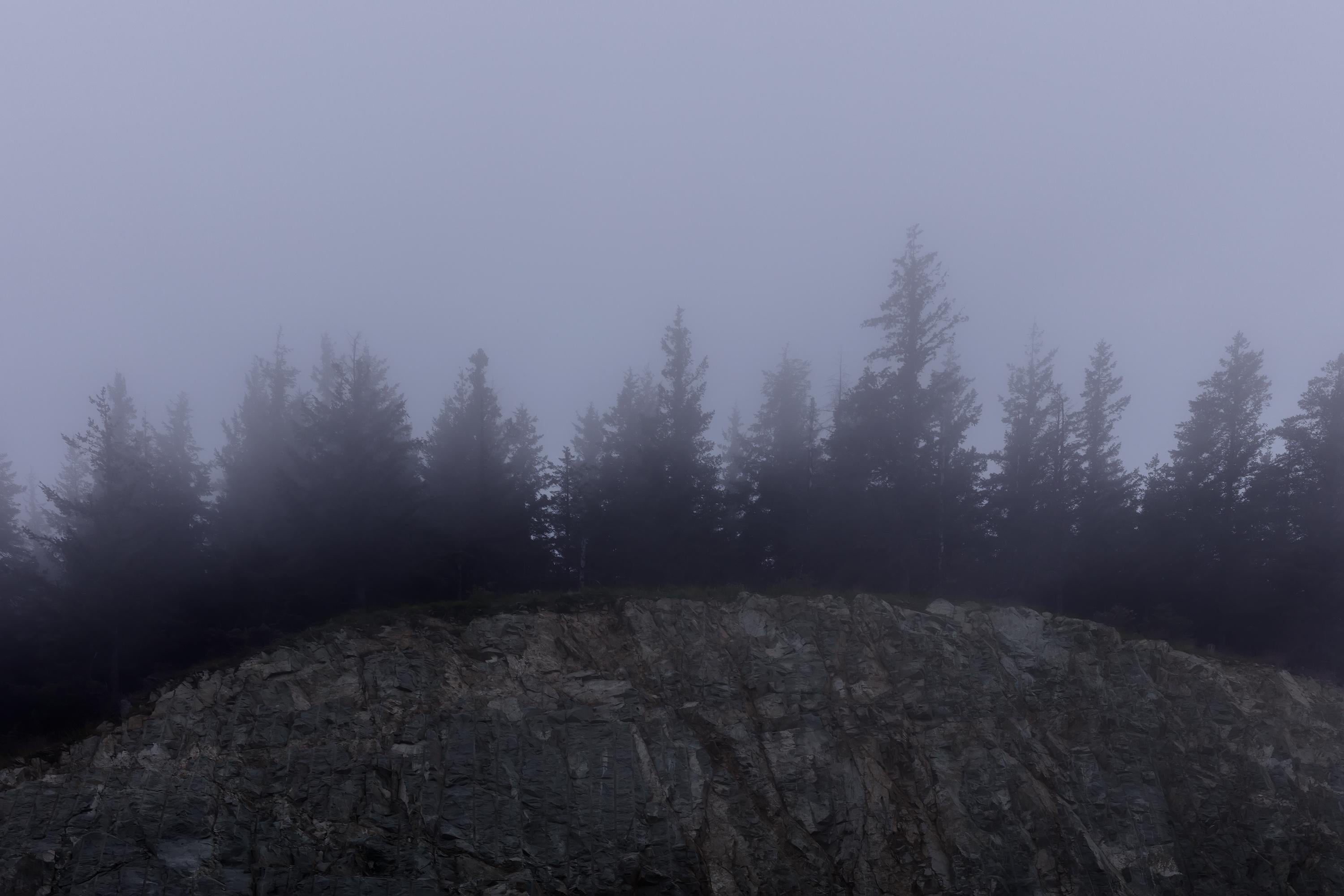 Jeanine Michna-Bales Color Photograph - Blue Gem, Washington