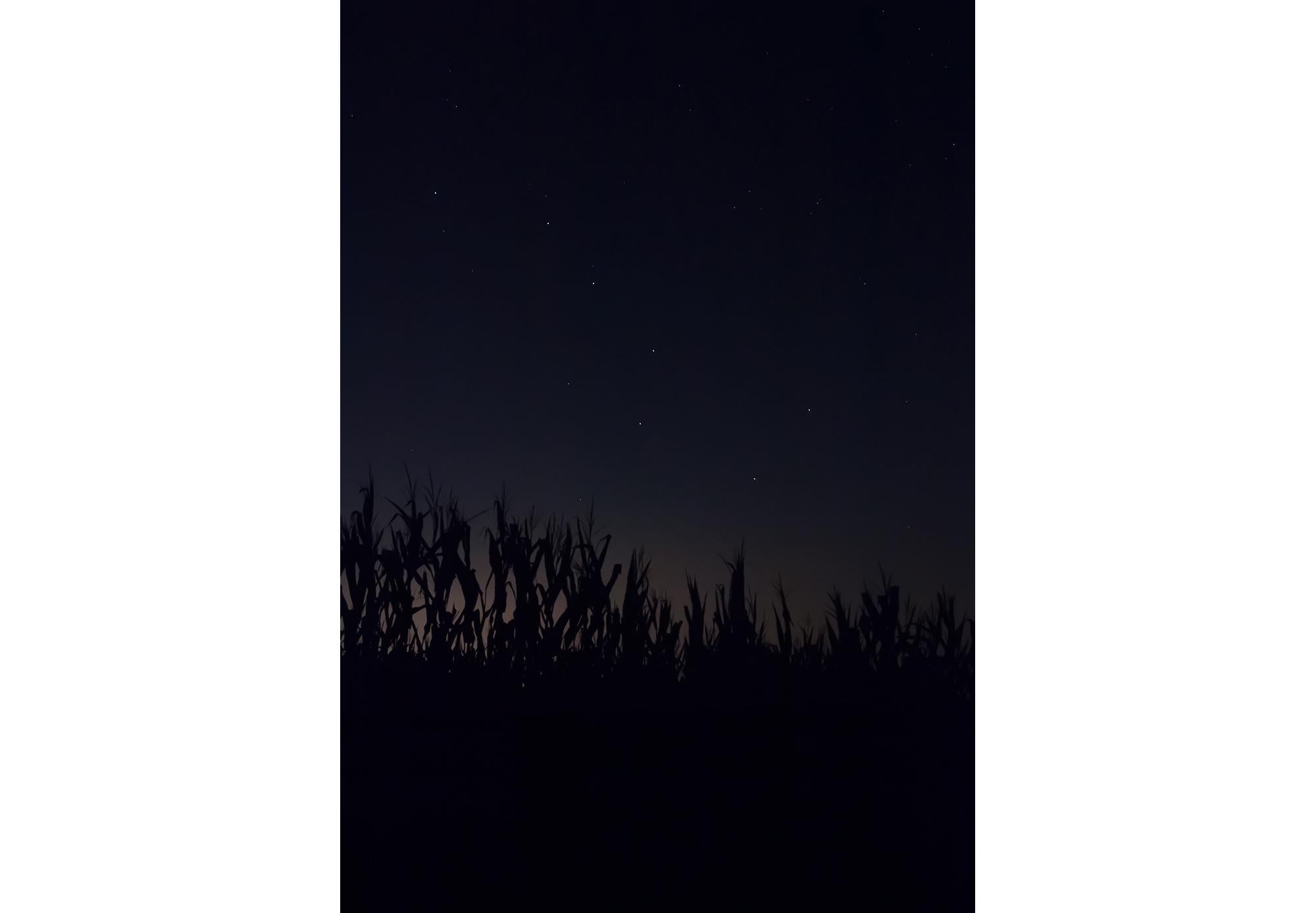 Jeanine Michna-Bales Color Photograph – The Drinking Gourd, Jefferson County, Indiana