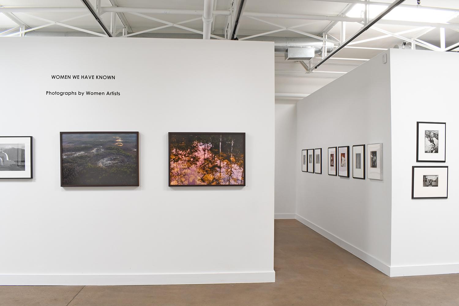 Mundos espejados, Pantano del Gran Ciprés, Florida - Photograph de Jeanine Michna-Bales