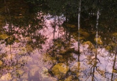 Mirrored Worlds, Big Cypress Swamp, Florida