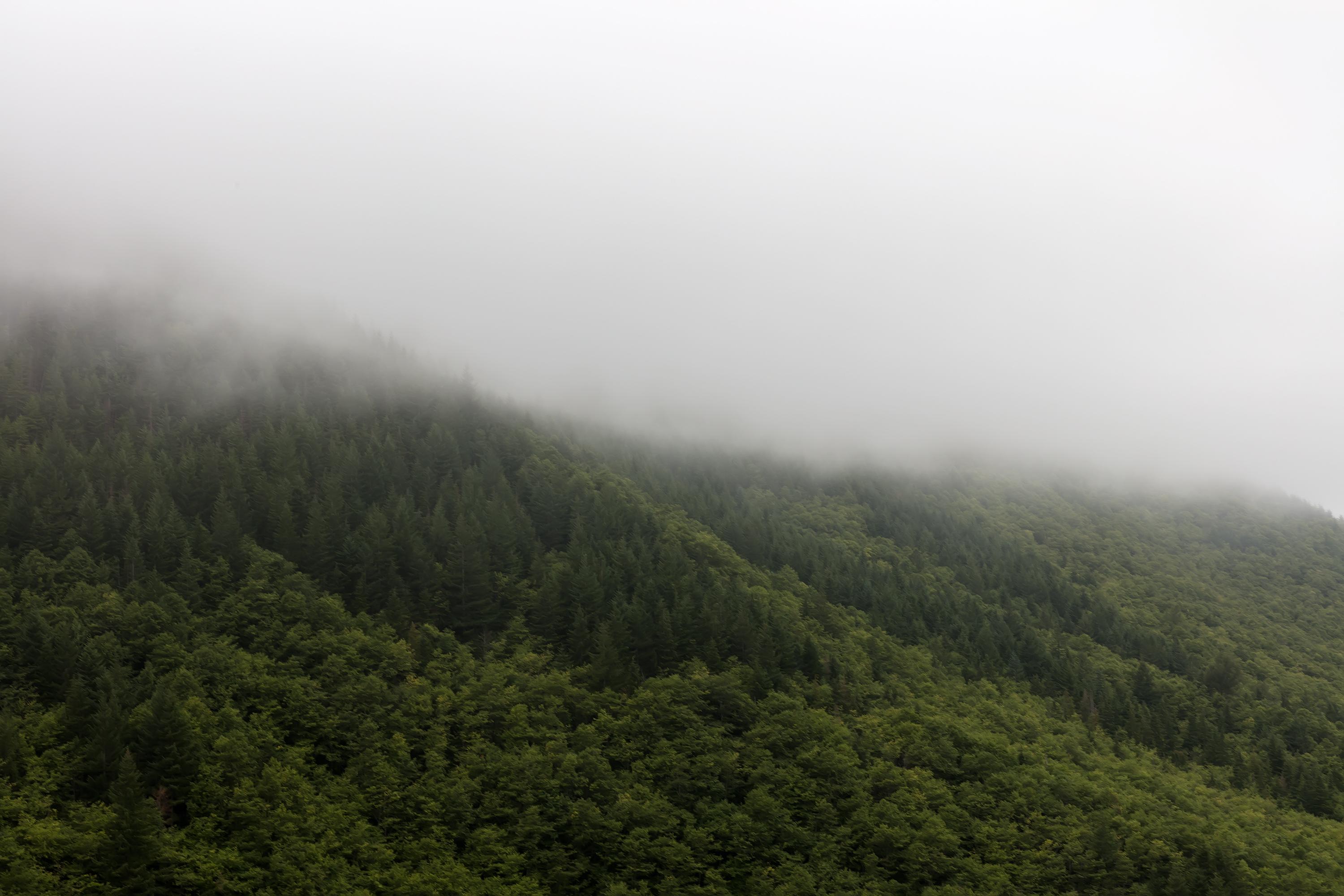 Jeanine Michna-Bales Landscape Photograph – Mountain Pass in Fog, Oregon