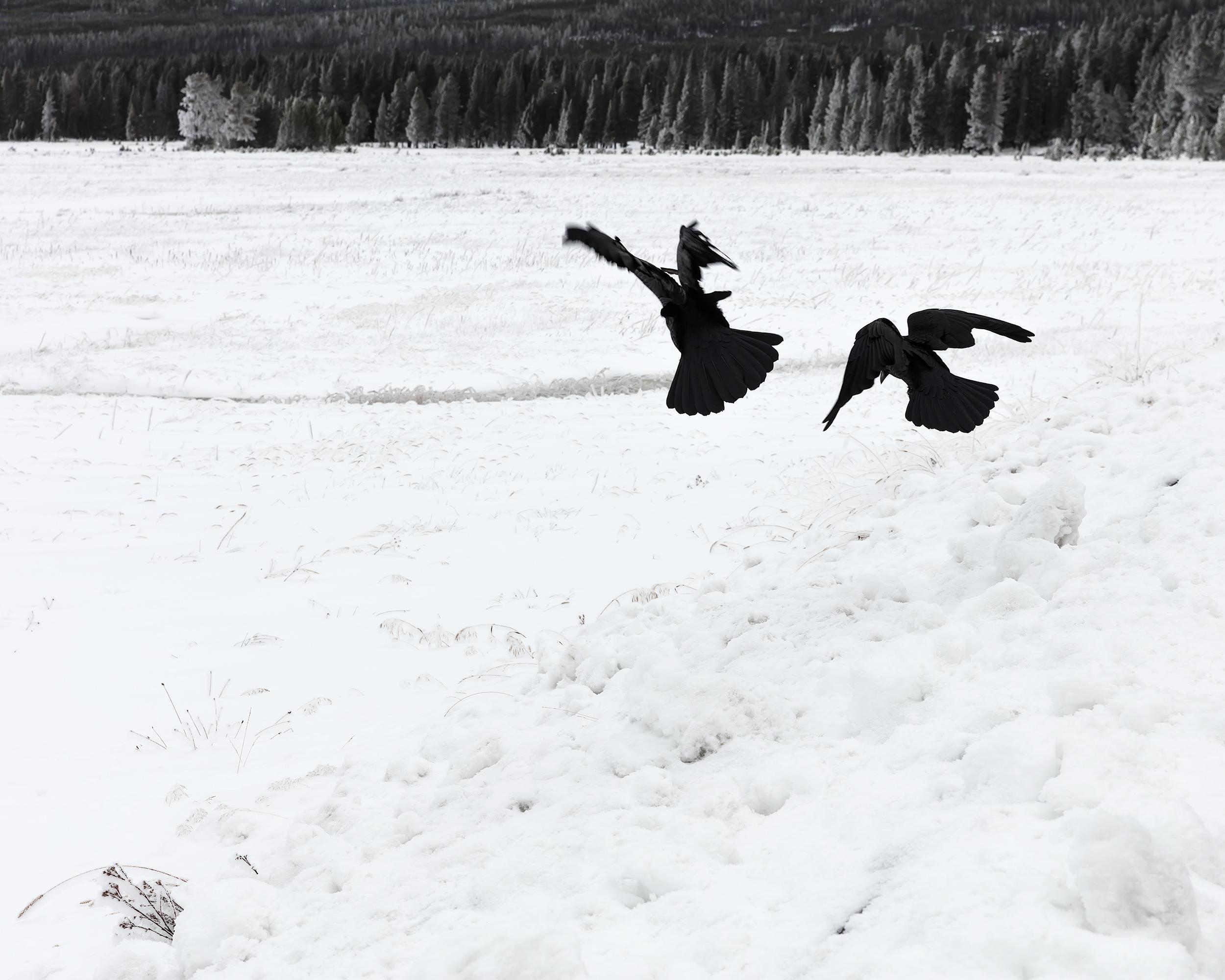 voyeurs aériennes spéciaux, Montana