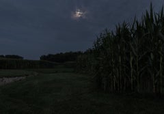 Revêtement avec les papillons du feu. North of Winchester, Indiana