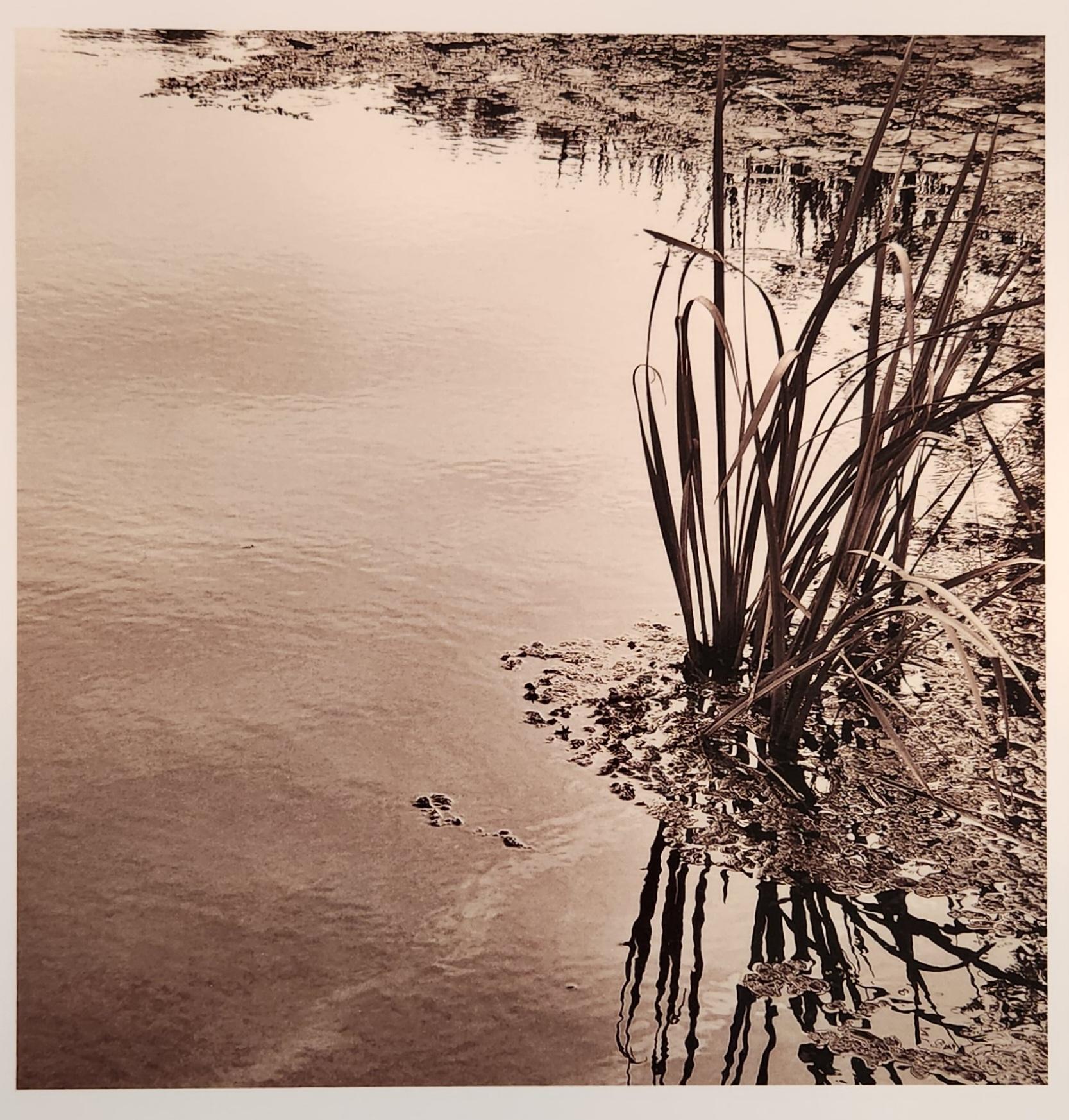 Ann Lee Pond 1 - Photograph by Jeanne Finley
