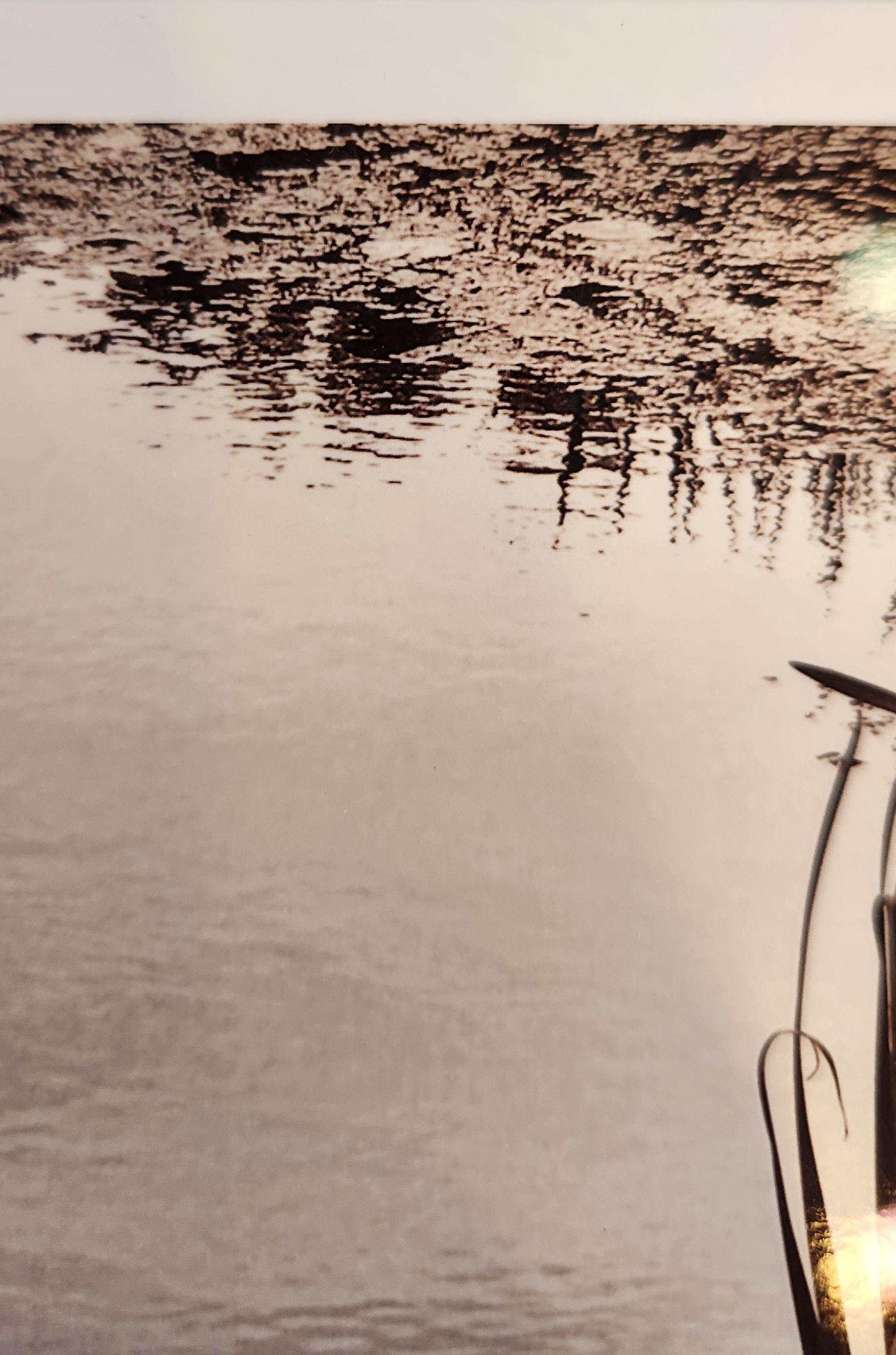 This black and white fine art photograph shows the edge of a body of water with grass, and some lily pads in  the background. The black and white tones in this photo gives it a mysterious sense.This is enhanced by the flatness of the water. One