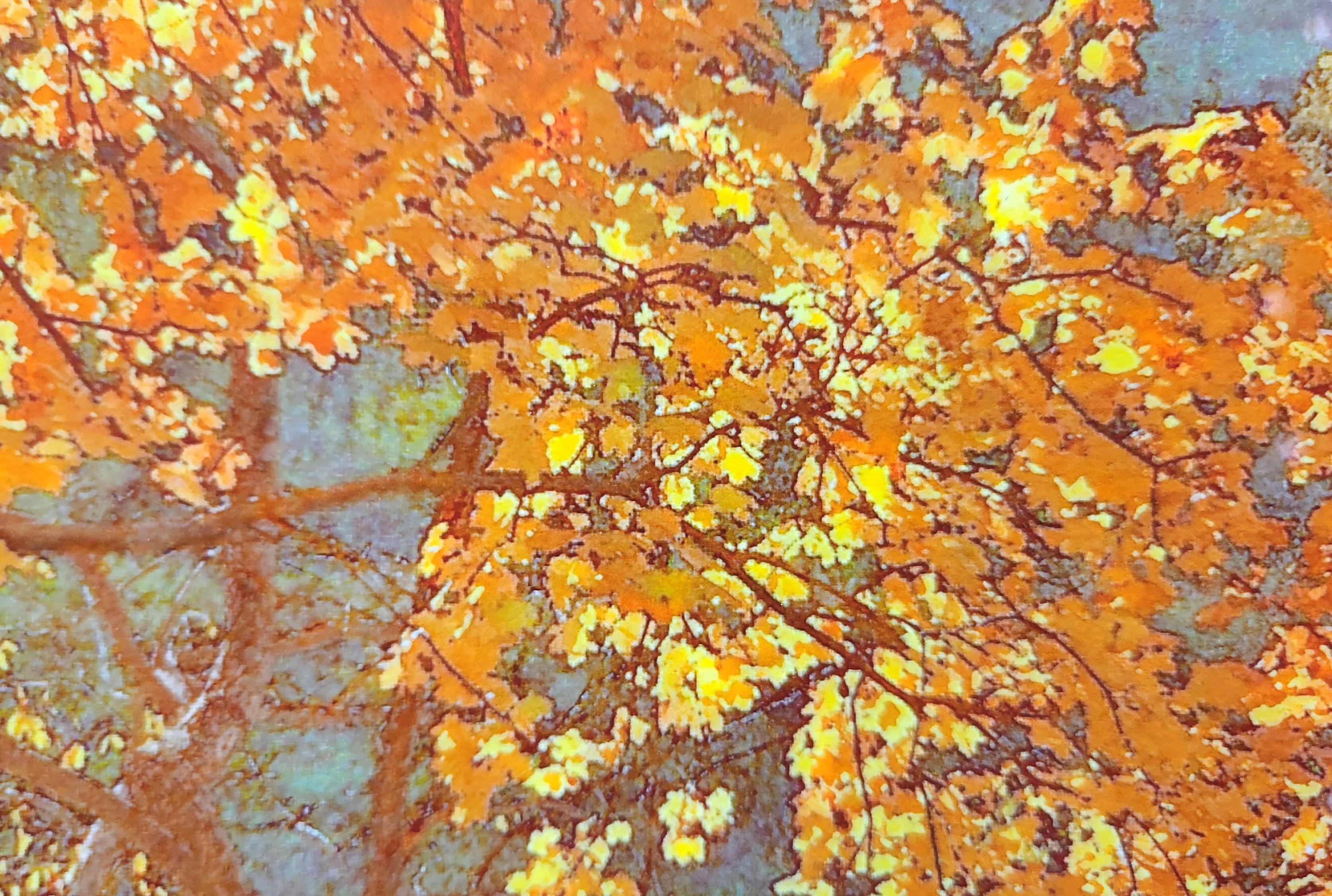 Autumn Tree -- Framed Color Photograph For Sale 6