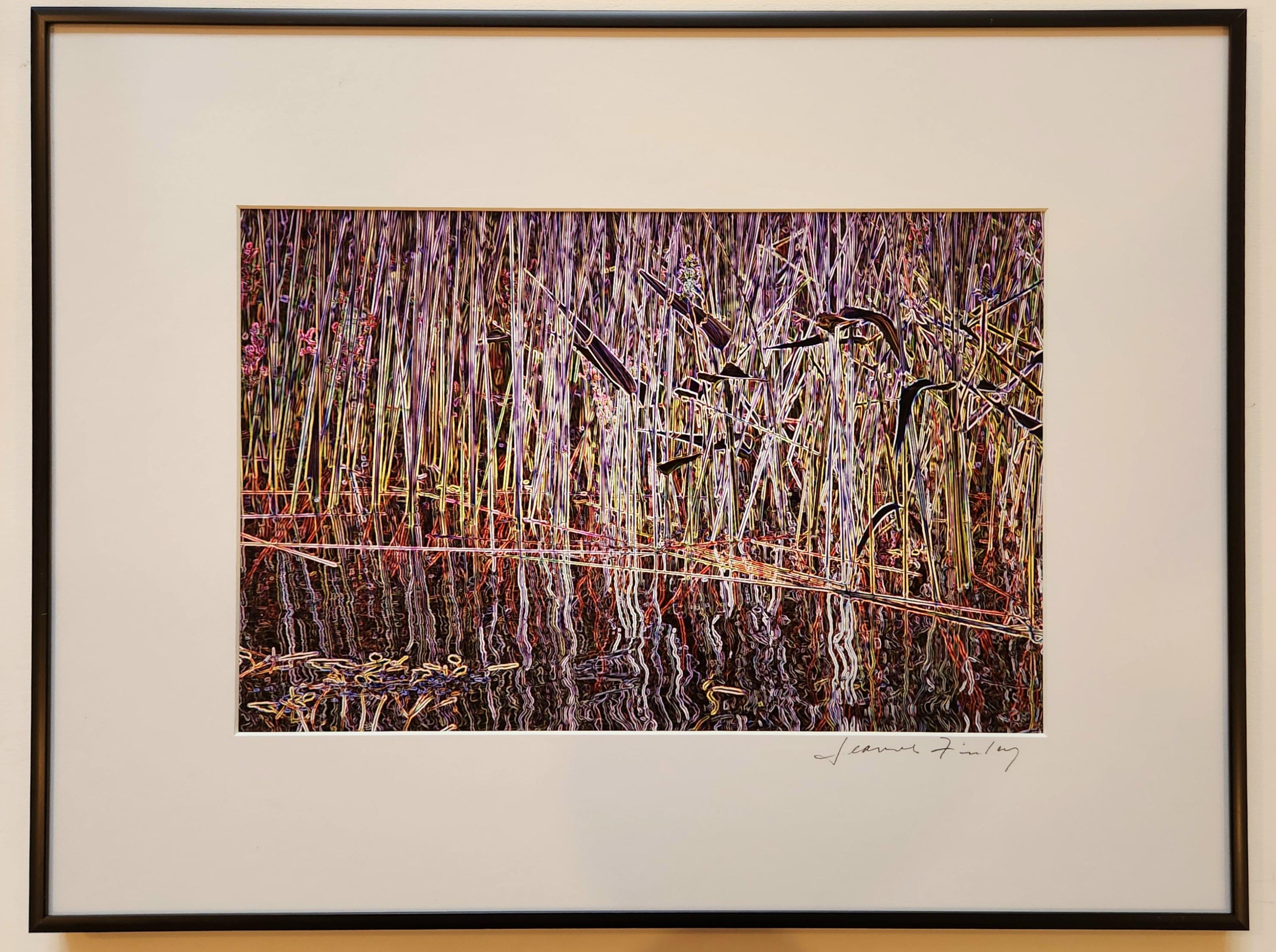 Jeanne Finley Landscape Photograph -  Fine art Color Photograph  -- Will O' The Wisp 1 