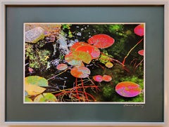 Gerahmte Farbfotografie – Grüner Pool