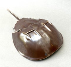Granchio a ferro di cavallo #3