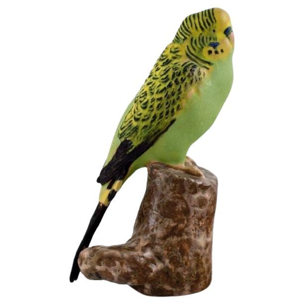 Jeanne Grut for Royal Copenhagen, Figure in Hand-Painted Faience, Budgerigar For Sale