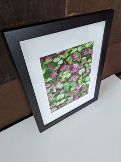 So viele Sprossen, Original Aquarell Stillleben