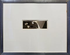 Jed Devine 'Still Life' Signed and Numbered Palladium Photograph