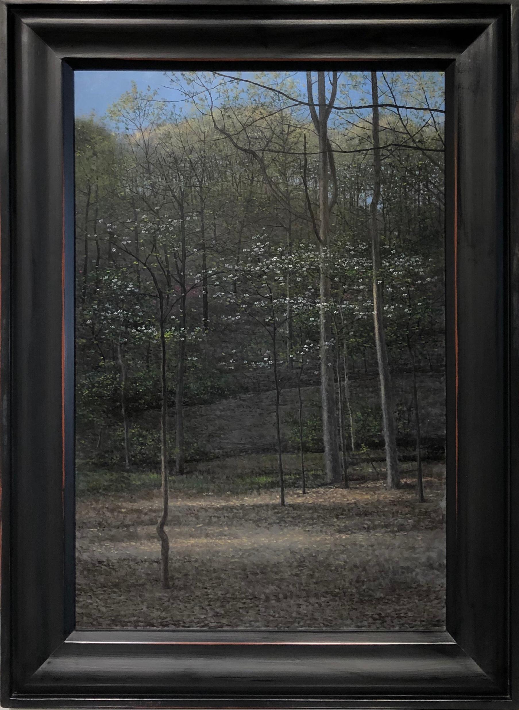 Dogwoods, blühende Dogwood-Blumen Bäume in einer bewaldeten Landschaft, Öl auf Tafel (Zeitgenössisch), Painting, von Jeff Aeling