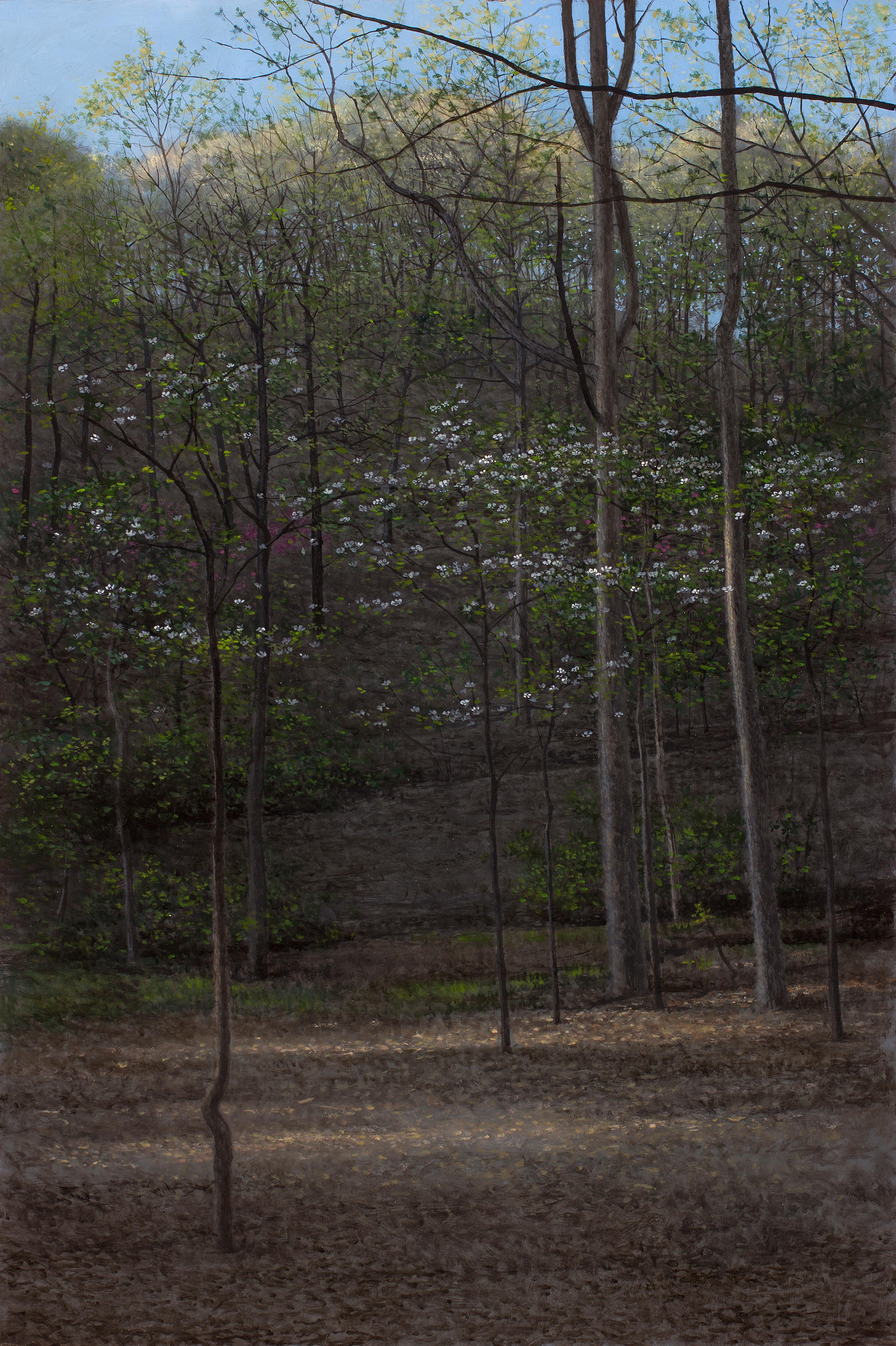 Dogwoods, Flowering Dogwood Trees in a Wooded Landscape, Oil on Panel - Painting by Jeff Aeling