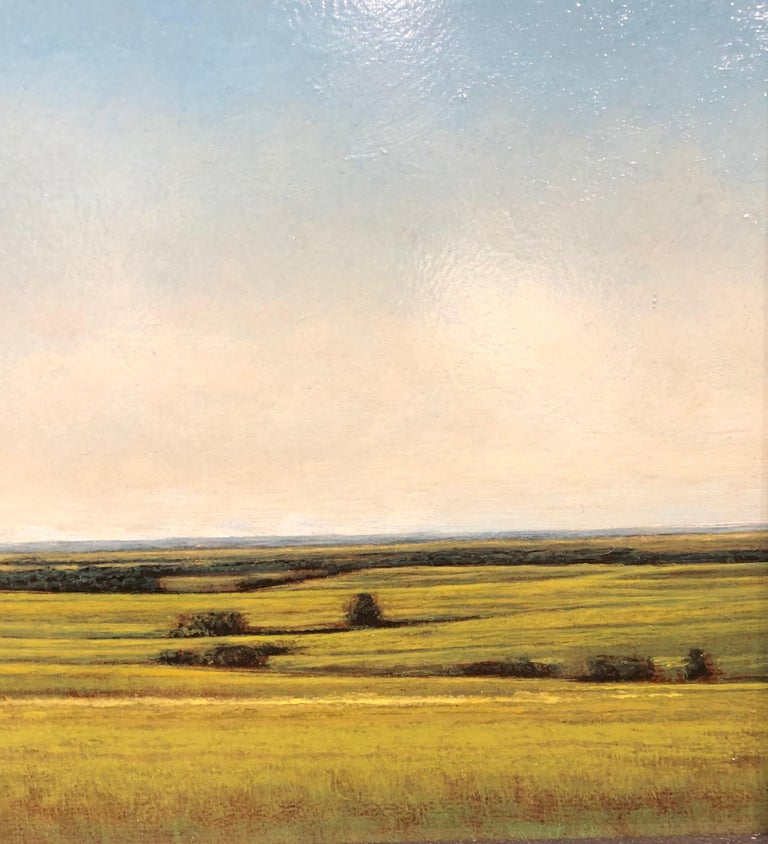 Jeff Aeling Late Afternoon Near Salina, Kansas, Serene Landscape with