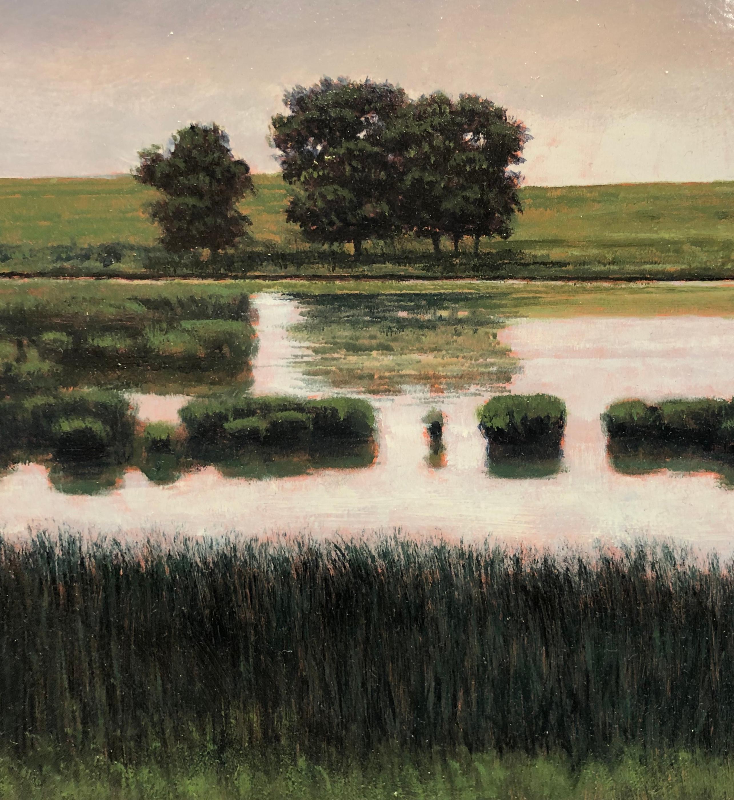 Teich in der Nähe der St. Cloud, MN – ruhige pastorale Landschaft mit schwimmendem Wasser, gerahmt (Zeitgenössisch), Painting, von Jeff Aeling