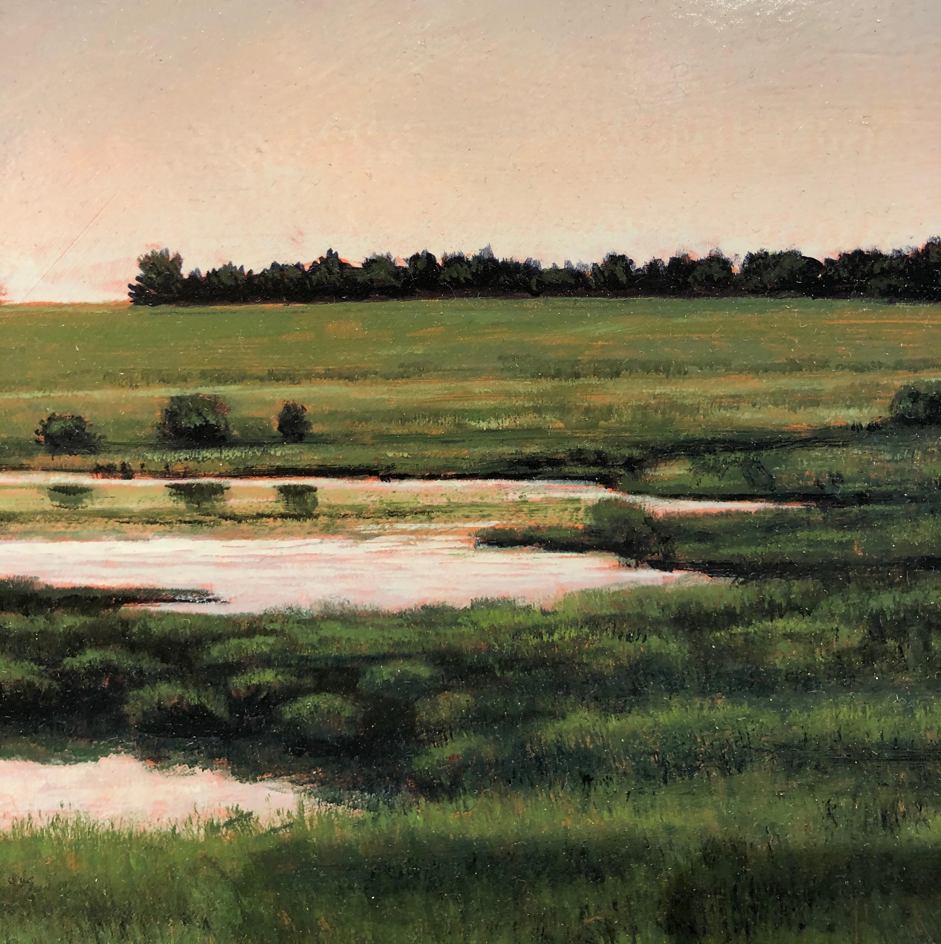 Teich in der Nähe der St. Cloud, MN – ruhige pastorale Landschaft mit schwimmendem Wasser, gerahmt (Grau), Landscape Painting, von Jeff Aeling