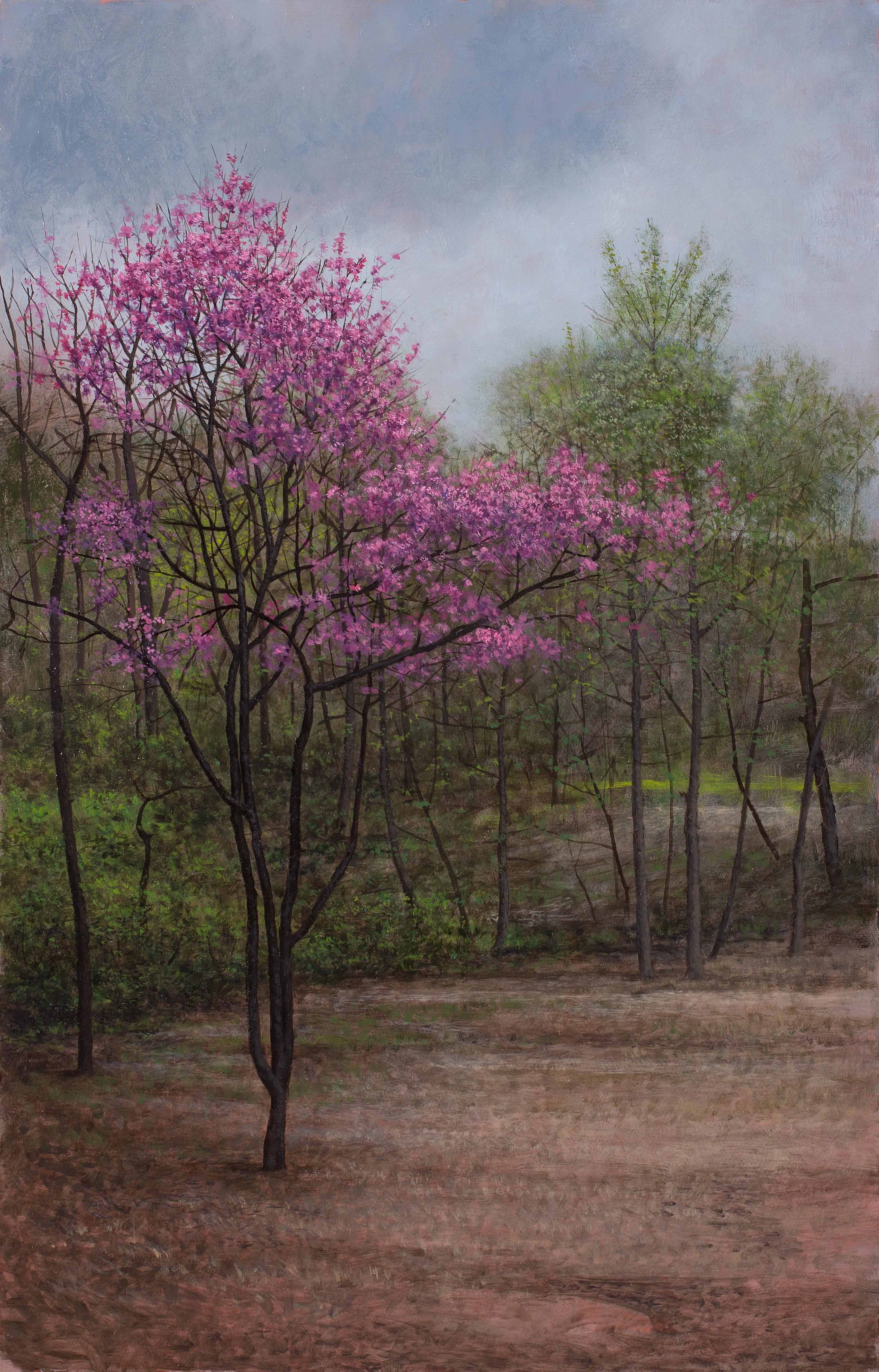 Rote Knospenknospen – Holzlandschaft mit blühendem rotem Knospen im frühen Frühling, Öl auf Tafel – Painting von Jeff Aeling