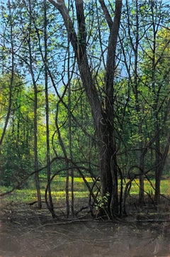 Tangled Tree - Luminous Oil Painting of Tree