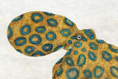 Blue Ringed Octopus - Gyotaku Style Japanese Sumi Ink Painting w/ Yellow & Blue