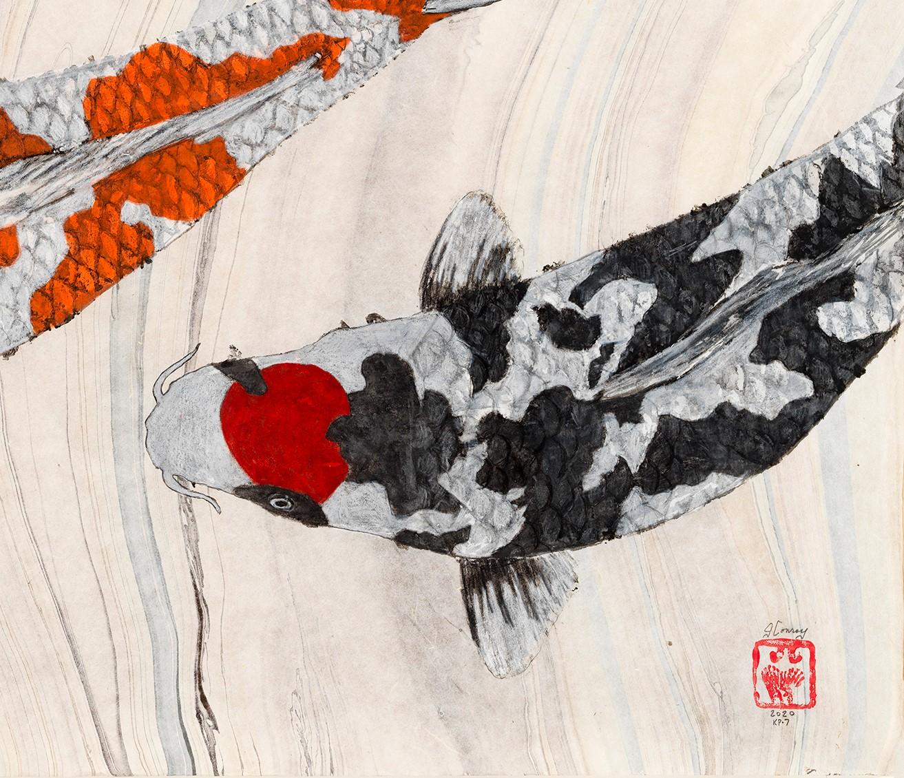 In Japan they are known as Nishikigoi, or living jewels. These brilliantly colored varieties of the Amur carp have been selectively bred by family owned fisheries for generations. When I began this series of Gyotaku (Japanese fish printing) I