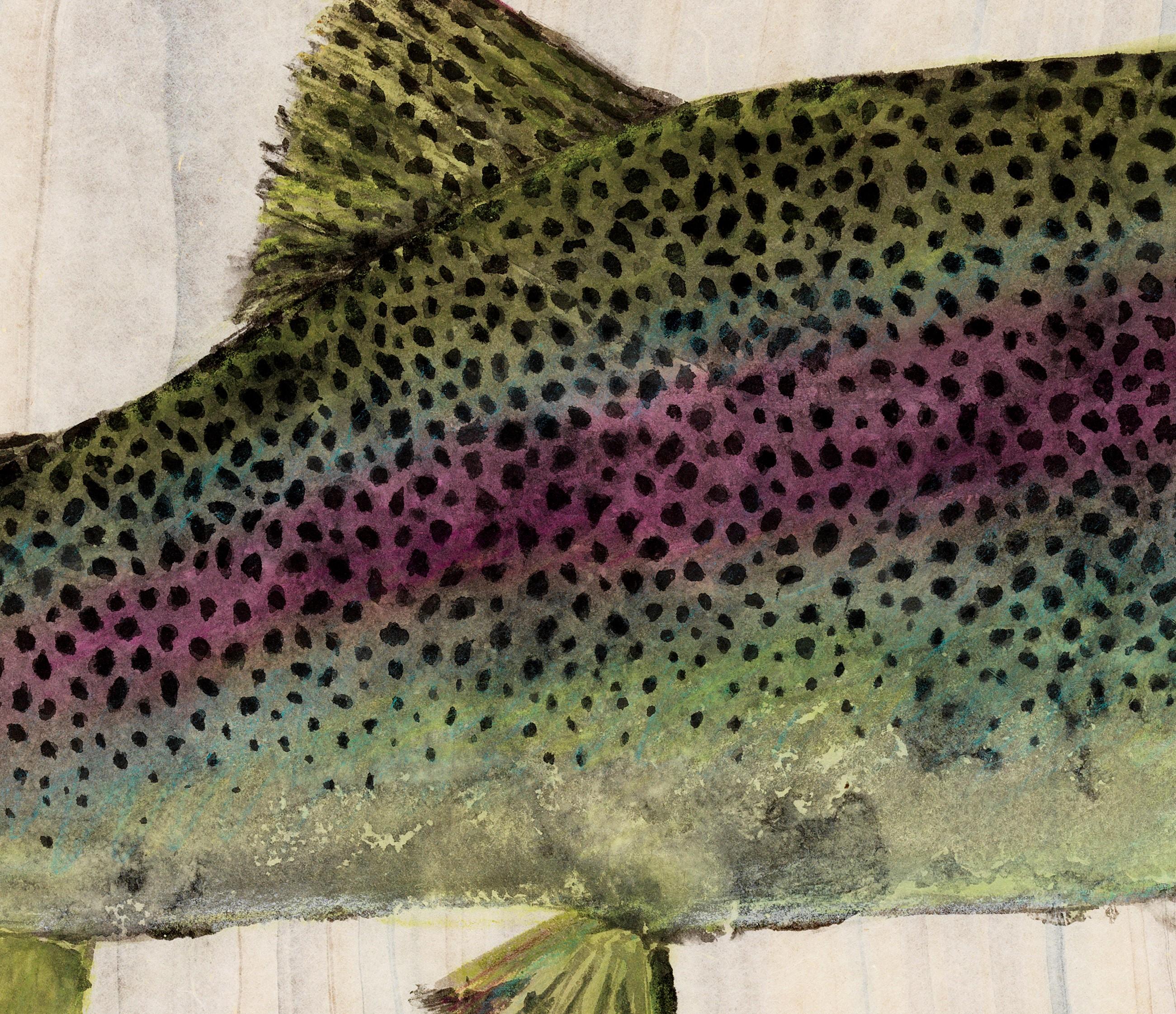 painting a rainbow trout