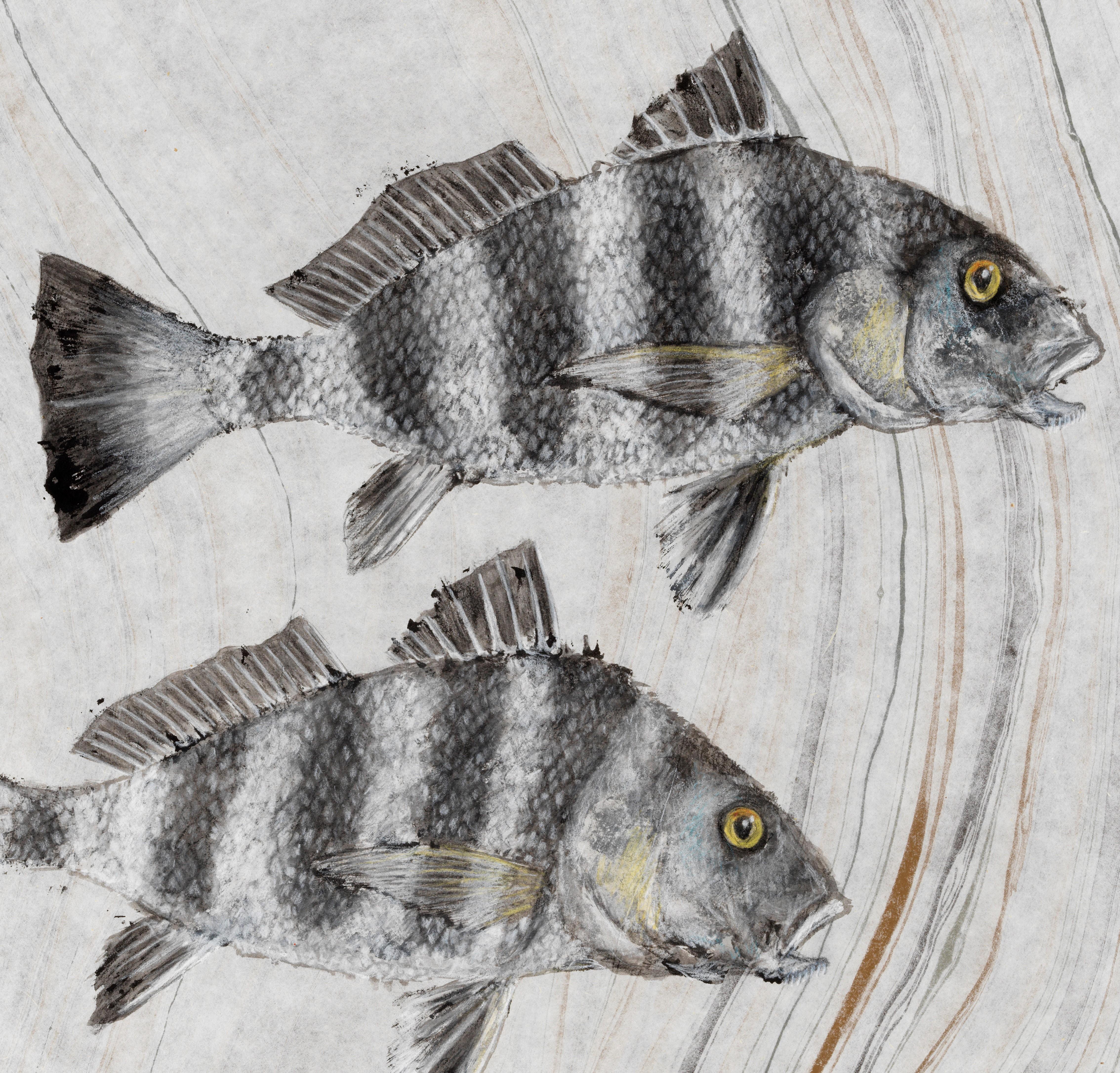 Deux tambours noirs - Peinture Gyotaku de style japonais sur papier Mulberry représentant deux poissons - Painting de Jeff Conroy