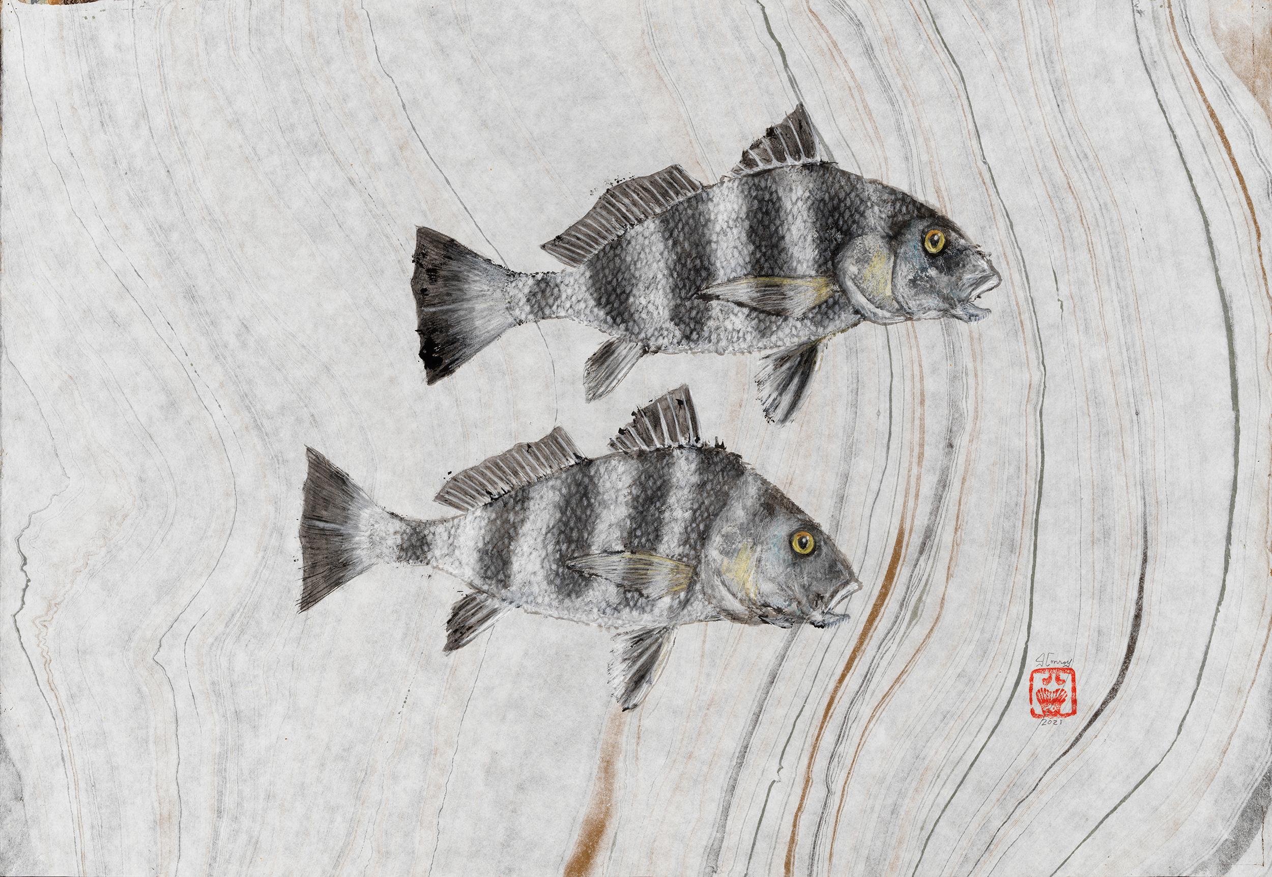 Jeff Conroy Animal Painting – Zwei schwarze Trommeln - Gyotaku-Malerei im japanischen Stil auf Mulberry-Papier mit zwei Fischen