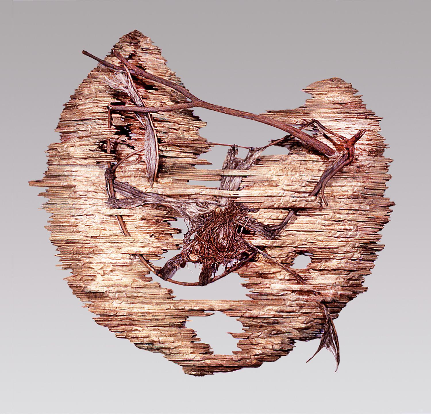 "Nesting II" wall-hung wood sculpture